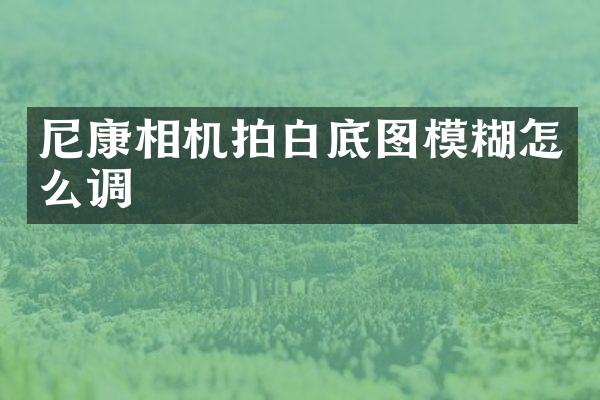 尼康相机拍白底图模糊怎么调