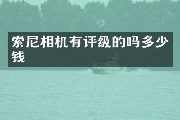 索尼相机有评级的吗多少钱