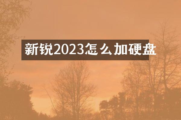 新锐2023怎么加硬盘