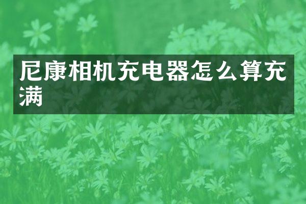 尼康相机充电器怎么算充满