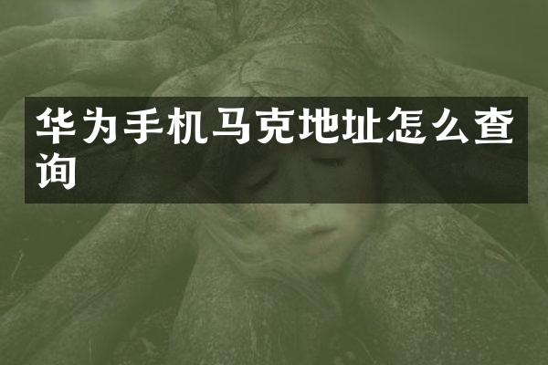华为手机马克地址怎么查询