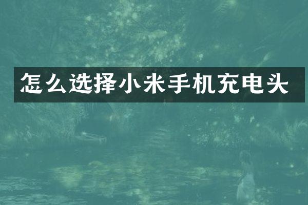 怎么选择小米手机充电头