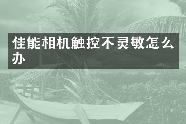 佳能相机触控不灵敏怎么办