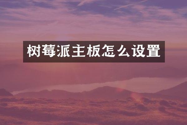 树莓派主板怎么设置