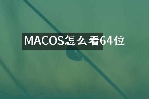 MACOS怎么看64位