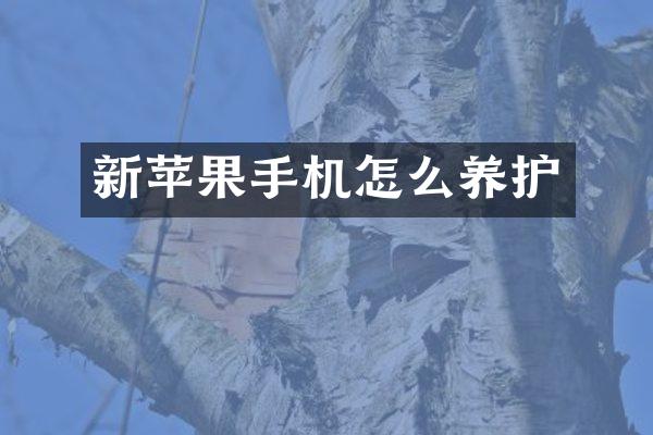 新苹果手机怎么养护