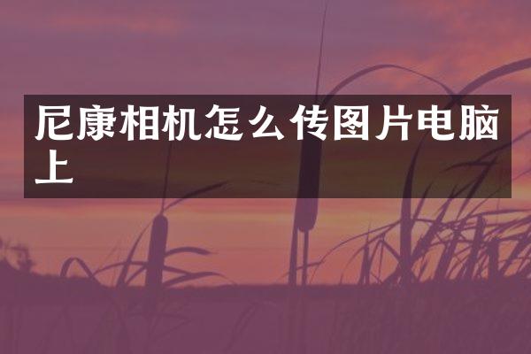 尼康相机怎么传图片电脑上