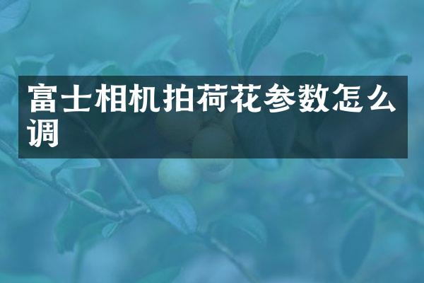 富士相机拍荷花参数怎么调
