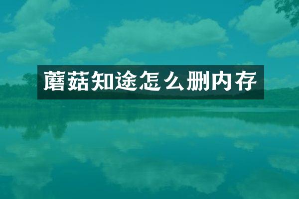 蘑菇知途怎么删内存