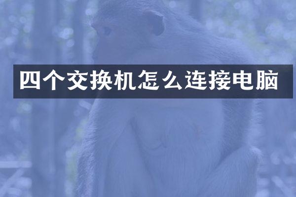 四个交换机怎么连接电脑
