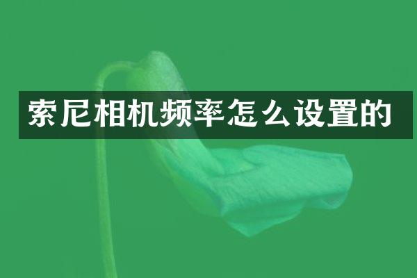 索尼相机频率怎么设置的