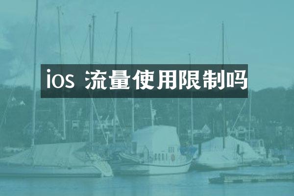 ios 流量使用限制吗