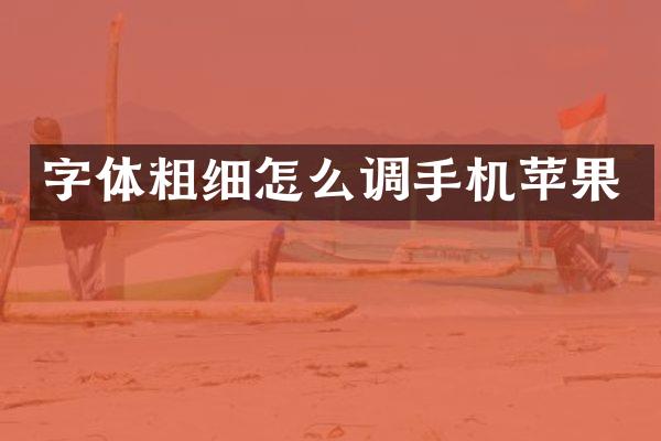 字体粗细怎么调手机苹果