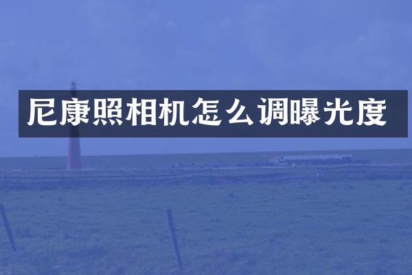 尼康照相机怎么调曝光度