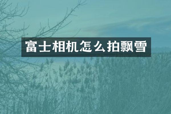 富士相机怎么拍飘雪