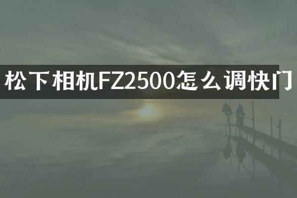 松下相机FZ2500怎么调快门