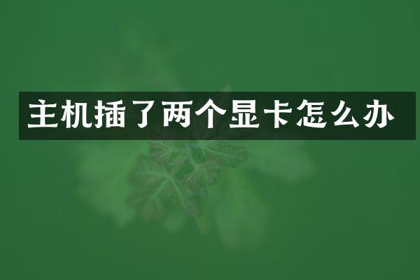 主机插了两个显卡怎么办