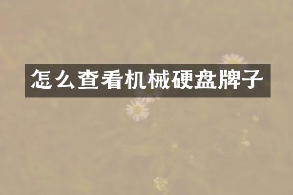 怎么查看机械硬盘牌子