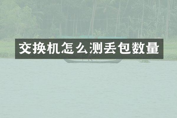 交换机怎么测丢包数量