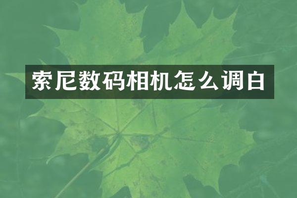 索尼数码相机怎么调白