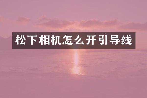 松下相机怎么开引导线