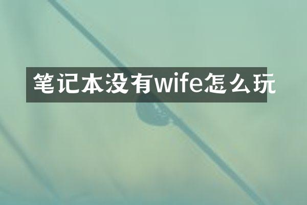 笔记本没有wife怎么玩