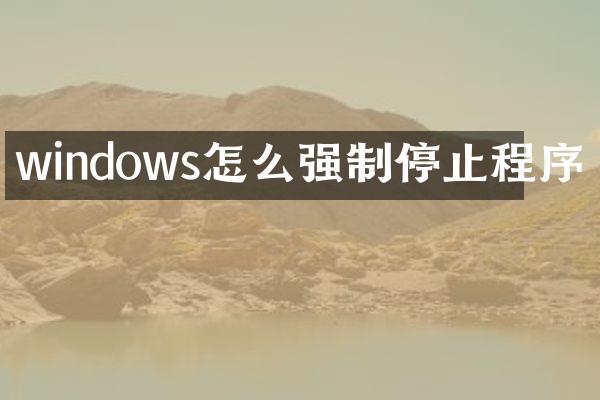 windows怎么强制停止程序