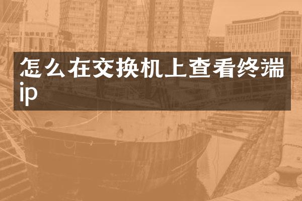 怎么在交换机上查看终端ip