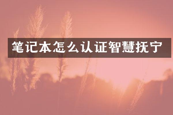 笔记本怎么认证智慧抚宁
