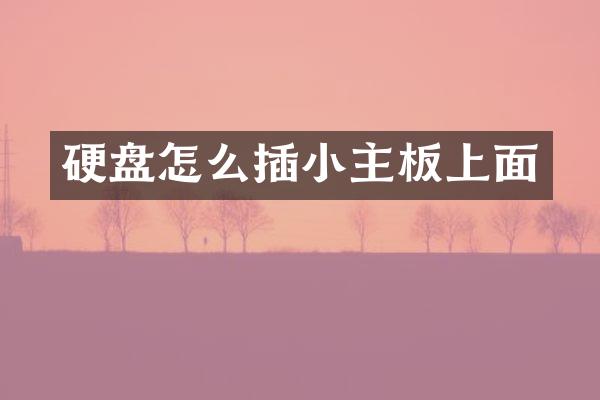 硬盘怎么插小主板上面