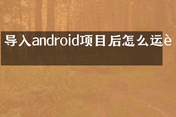 导入android项目后怎么运行