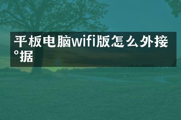 平板电脑wifi版怎么外接数据