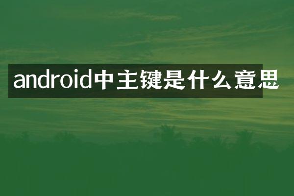 android中主键是什么意思