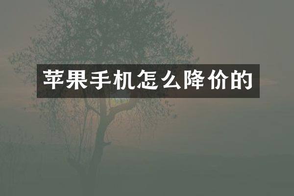 苹果手机怎么降价的