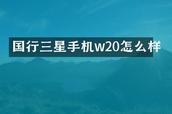 国行三星手机w20怎么样