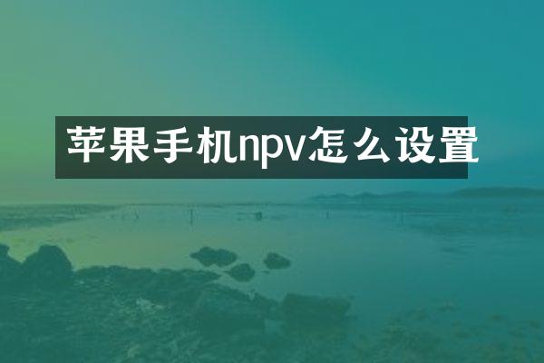 苹果手机npv怎么设置