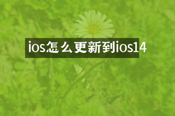 ios怎么更新到ios14