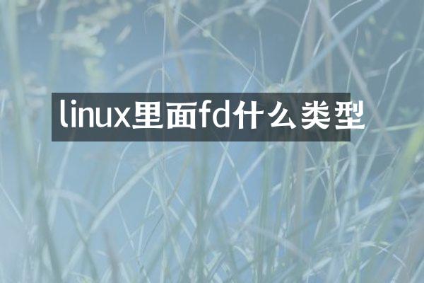 linux里面fd什么类型