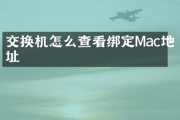 交换机怎么查看绑定Mac地址
