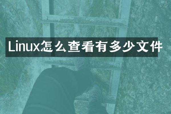 Linux怎么查看有多少文件