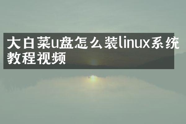 大白菜u盘怎么装linux系统教程视频