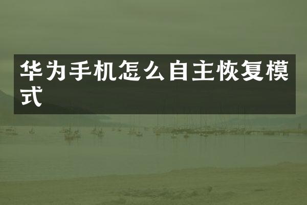华为手机怎么自主恢复模式
