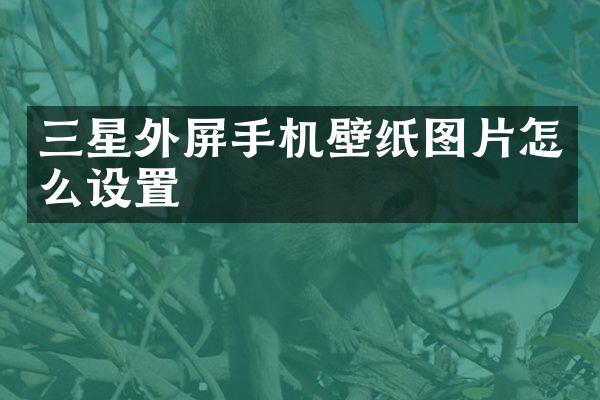 三星外屏手机壁纸图片怎么设置