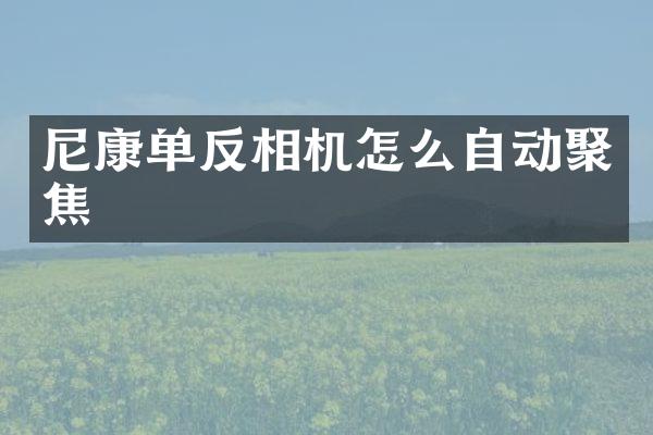 尼康单反相机怎么自动聚焦