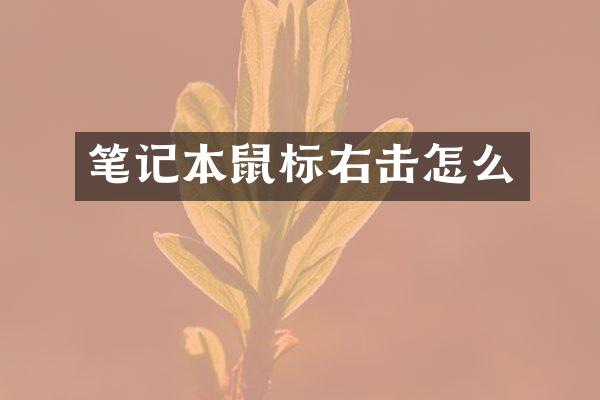 笔记本鼠标右击怎么