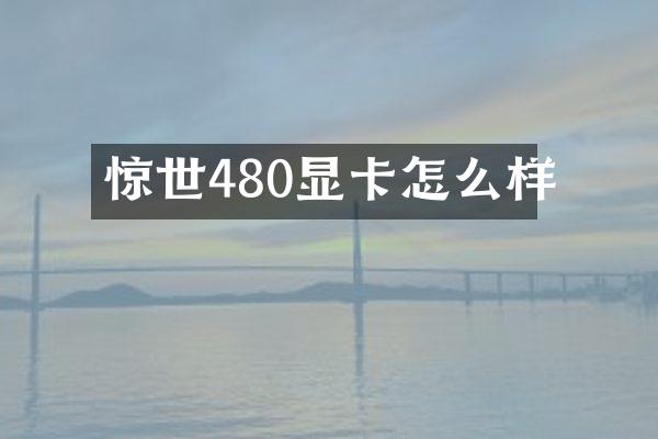 惊世480显卡怎么样
