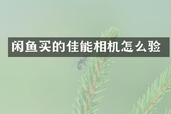 闲鱼买的佳能相机怎么验