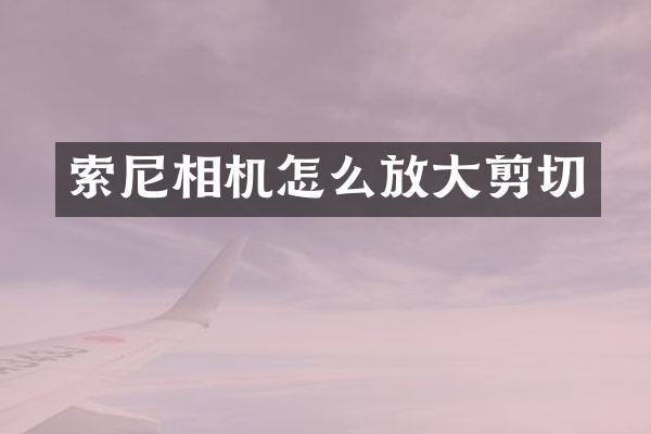 索尼相机怎么放大剪切