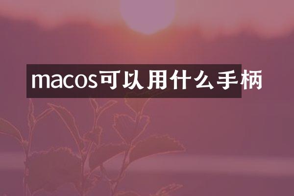 macos可以用什么手柄
