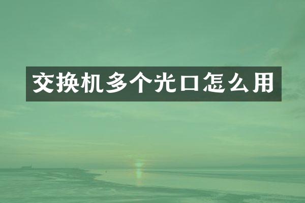 交换机多个光口怎么用